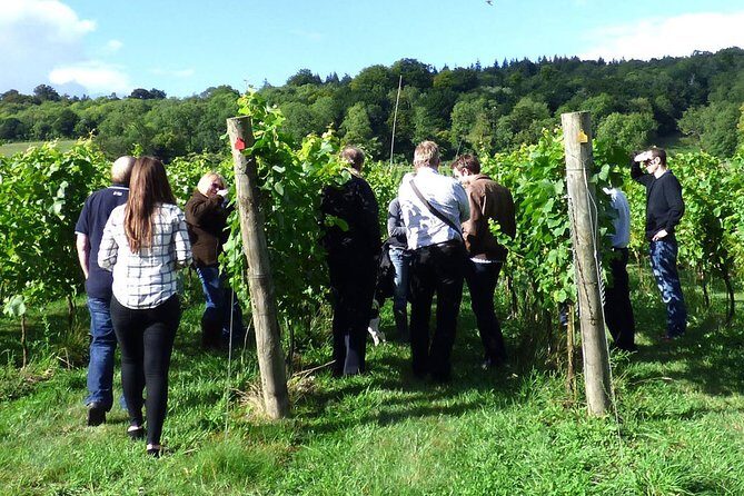 English Wine and Cheese Tour from London - Chapel Down in Small Hythe: vineyard time and chalk-soil tastings