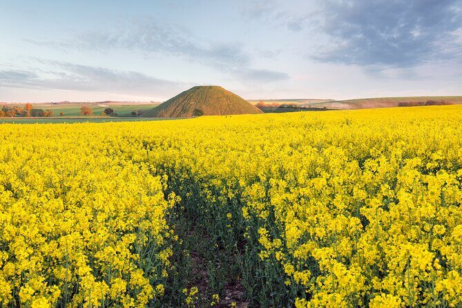 Expert Archaeologist - Private Stonehenge, Bath and Avebury Tour - A Private Stonehenge Day That Actually Feels Like Understanding