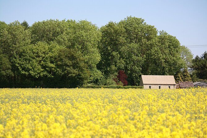 Explore the Cotswolds (Private Day Tour from London) - Why a private Cotswolds day from London feels worth it
