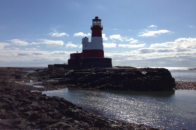 Farne Islands Longstone Lighthouse 2-Hour Trip from Seahouses - Key highlights worth booking for