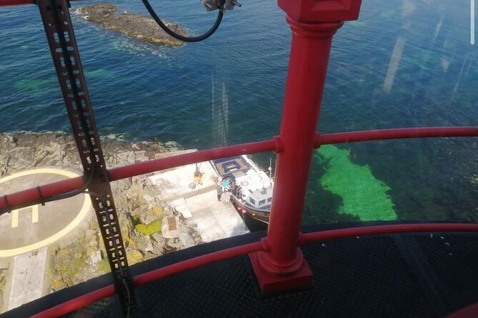 Farne Islands Longstone Lighthouse 2-Hour Trip from Seahouses - Who should book this, and who should sit it out?