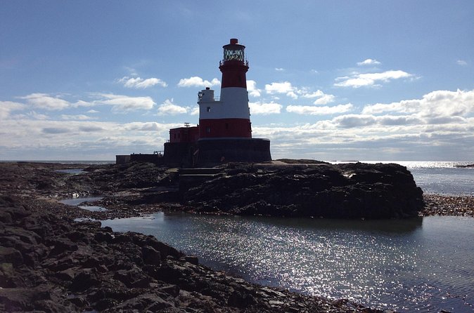 Farne Islands Longstone Lighthouse 2-Hour Trip from Seahouses - My take: book it if you want keeper-led history and real wildlife time