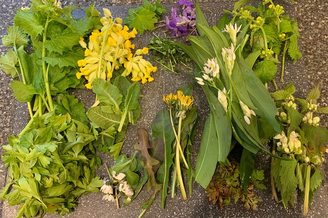Foraging walk for beginners - Key highlights at a glance