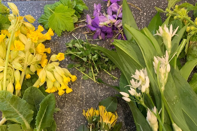 Foraging walk for beginners - The edible versus poisonous contrast: why it’s taught early