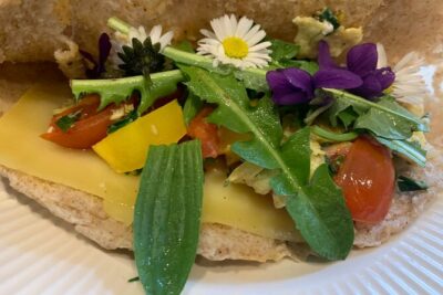 Foraging walk for beginners - Where the walk starts (and why it affects the experience)