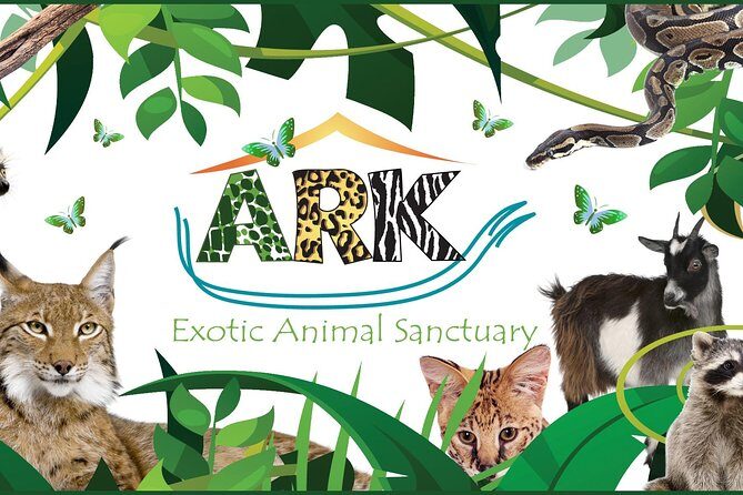 Fox Encounter for 2 people and park entry - Fox Encounter at Ark Wildlife Park: what you’re really buying