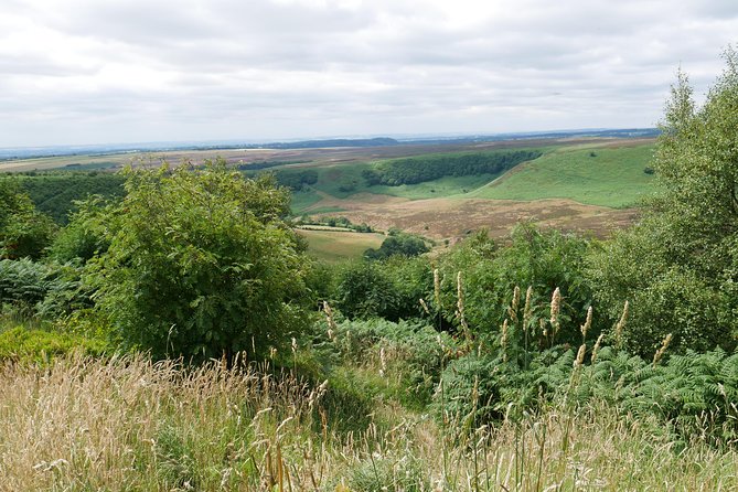 Full-Day Heartbeat Locations Tour from York - North Yorkshire Moors scenery and the value of a scenic coach route