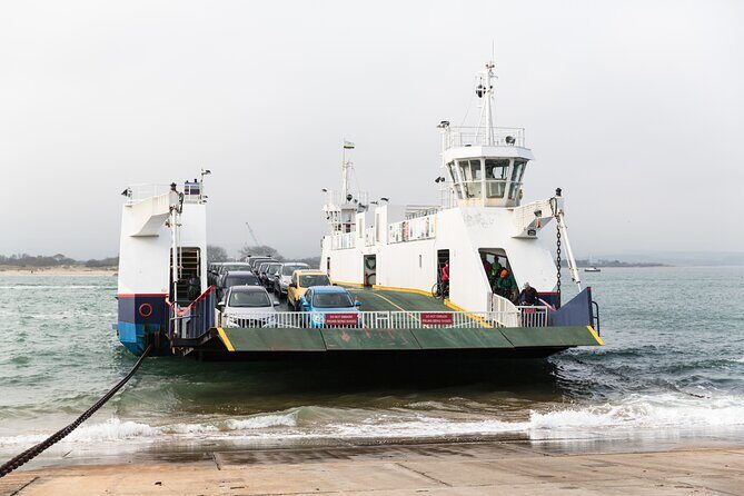 Full Day Jurassic Coast Mini-Coach Tour from Bournemouth - Middle Beach, Studland Bay, and Old Harry Rocks viewpoints