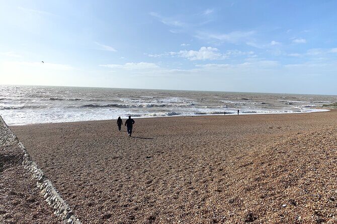 Fully Guided History Tour of The City of Brighton - Brighton i360: the quick ride that caps the city panoramas