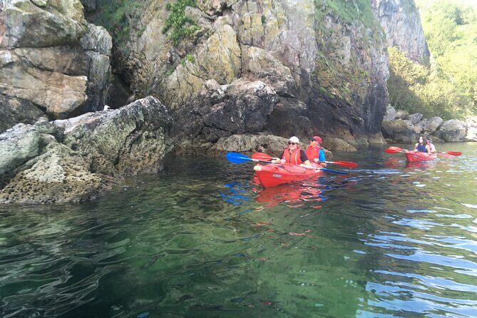 Guided Wildlife and Sea Cave Kayak Safari in English Riviera - The real rhythm of a 3-hour safari (and why it feels worth it)