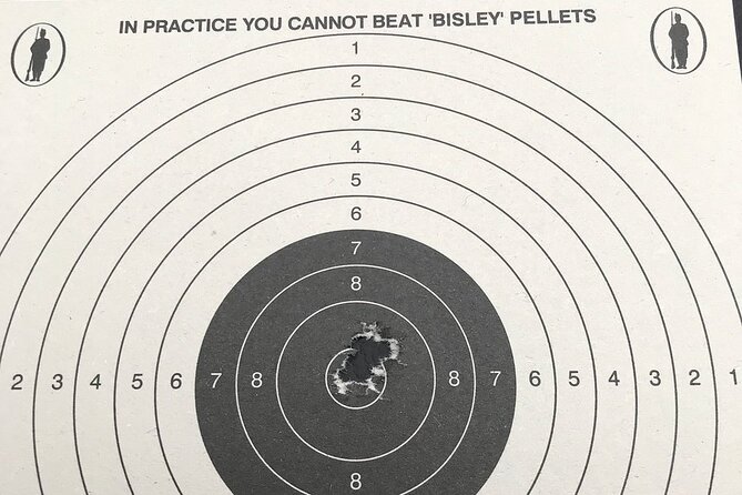 Gun Range Shooting Experience in Newton Abbot - Simway Shooting Simulator: Like a Video Game, Still a Skill Test