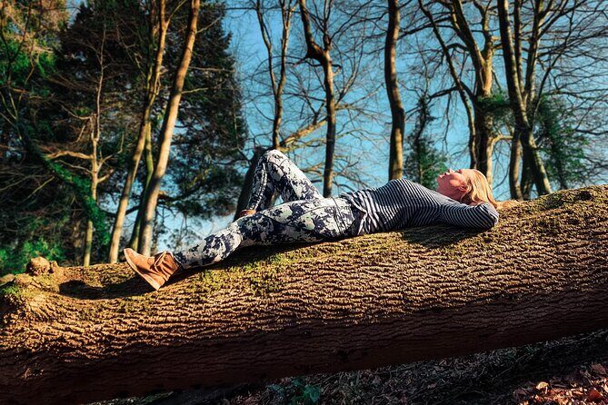 Half-day Forest Bathing and Yoga in Brighton's Woodlands - Key details worth knowing before you go