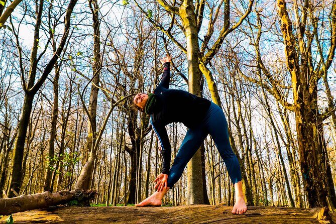 Half-day Forest Bathing and Yoga in Brighton's Woodlands - Stanmer woods and shinrin-yoku: how the guided walk actually feels