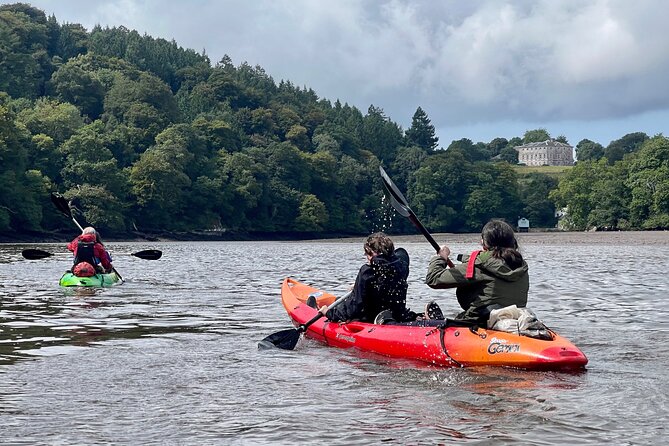 Half Day Guided Canoe Trip in Totnes - Who should book this Totnes canoe trip (and who should skip it)