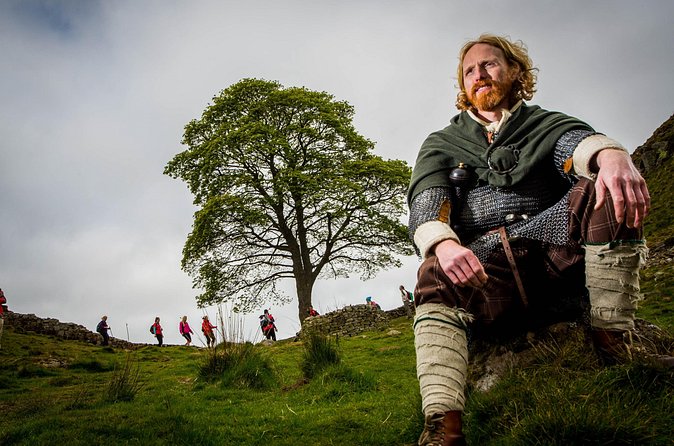 Half Day Hadrian’s Wall Guided Tour - Weather, timing, and your best on-the-day prep