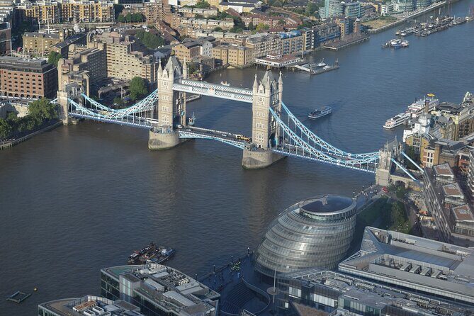 Half-day Private Tour in London - Who should book this half-day private London tour