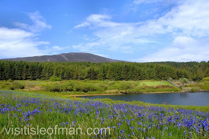 Half day private tours of the Isle of Man with a qualified Driver Guide - Pickup From Douglas or Ronaldsway: Starting Easy, Ending Convenient