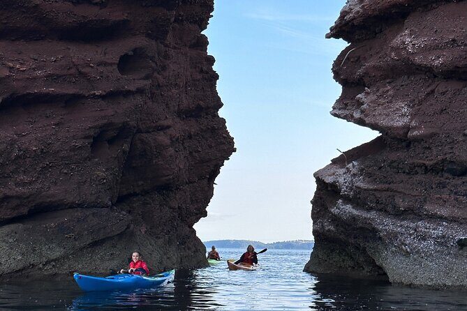 Half Day Sea kayak Guided Tour - Teignmouth Town Beach break: when the coast becomes a playground
