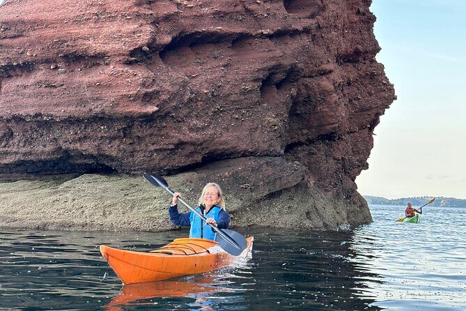 Half Day Sea kayak Guided Tour - Price and value: what $66.06 buys you on the water