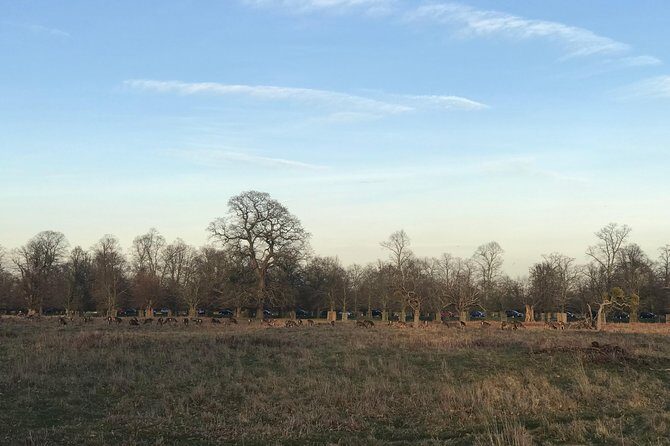 Hampton Court Palace Grounds Bike Tour - Where the route takes you: Bushy Park to the Thames