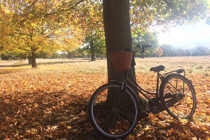 Hampton Court Palace Grounds Bike Tour - The guides and how the stories are told