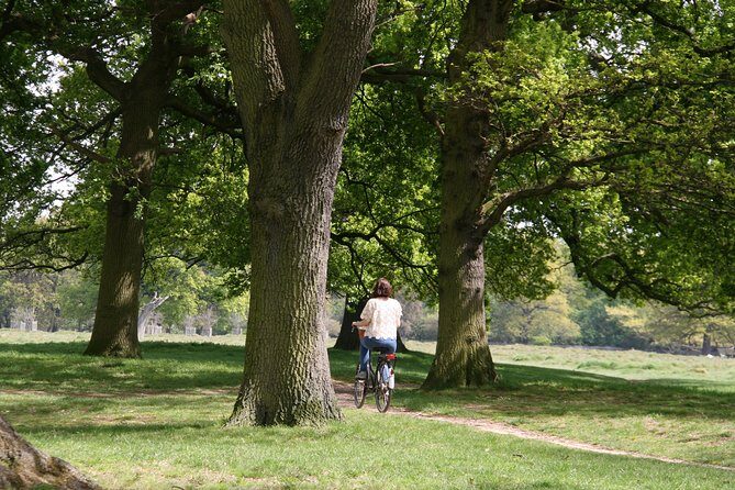 Hampton Court Palace Grounds Bike Tour - Who this tour suits best (and who should choose something else)