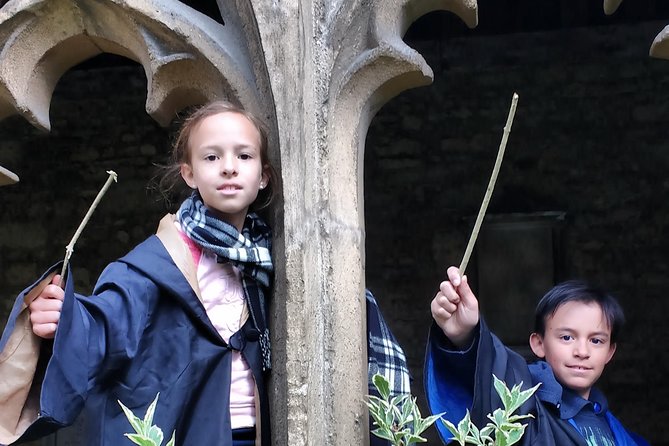 Harry Potter in Oxford Tour Divinity School entry Private Tour - New College: where the ferret moment lives (and the entry fee question)