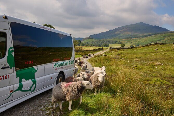 High Adventure: Mountain Passes & Muncaster Castle from Oxenholme - Hardknott Pass: the steep twists where the driver earns their paycheck