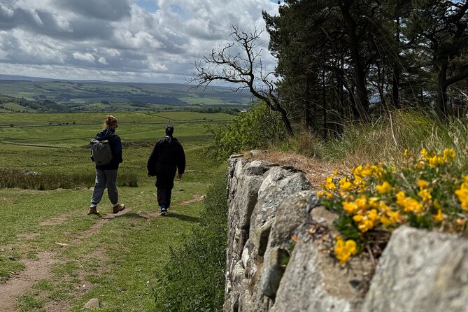 Highlights of Hadrian’s Wall with Local Guide - Housesteads Roman Fort stop: the best views and a smart no-entry plan
