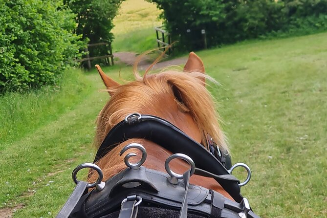 Horse drawn carriage ride york - Why a horse-drawn carriage near York feels different here
