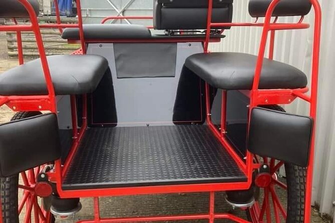 Horse drawn carriage ride york - Private group time: how the “up to 5” limit changes the vibe