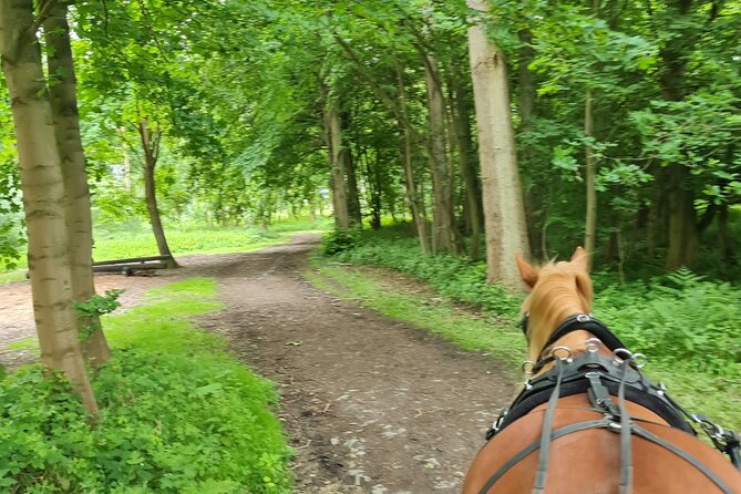 Horse drawn carriage ride york - Price and value: what you’re paying for