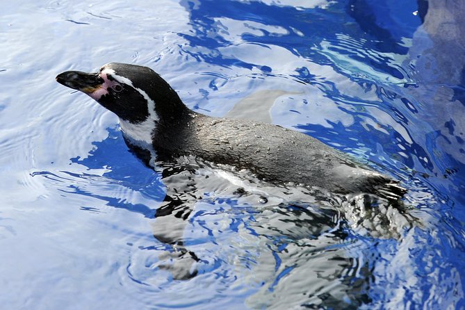 Hunstanton SEA LIFE Sanctuary General Admission Ticket - Getting your bearings at SEA LIFE Hunstanton