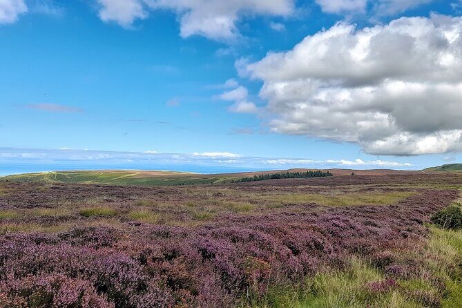 Isle of Man Discovery Tour with experienced Driver Guide - Private vehicle comfort (and why it matters on an island day)