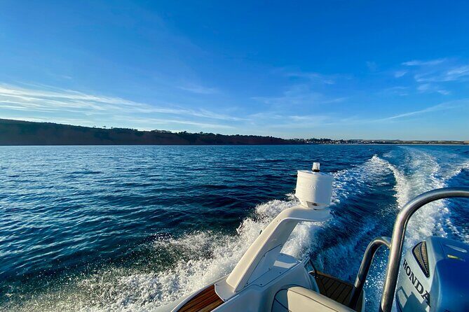 Jurassic Coast Rib Tour - Exmouth - Stop 3: Straight Point and the Royal Marines live firing range