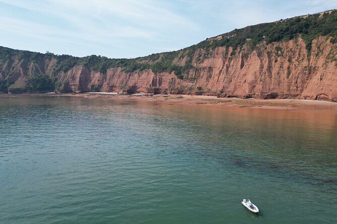 Jurassic Coast Rib Tour - Exmouth - Wildlife moments: seals and the kind of surprises you can plan for