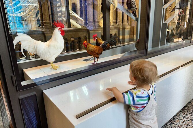 Kid-Friendly Natural History Museum & Dinosaurs Private Guided Tour in London - Stop 1 at the museum: what your 2.5 hours are likely to feel like