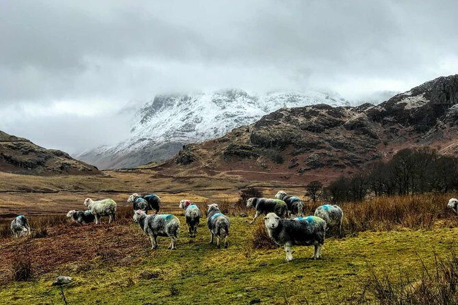 Lake District Adventure Sightseeing Day Trip from Liverpool - Key Takeaways Before You Go