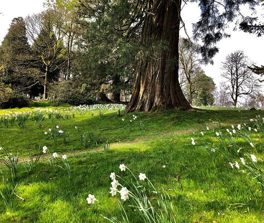Lake District from Liverpool including Lake Cruise - Hawkshead: where the story stops feel real
