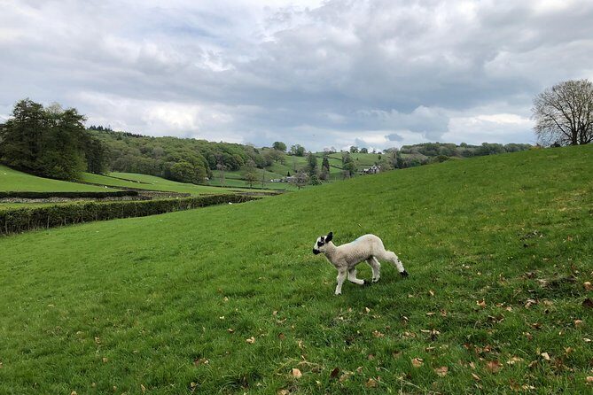 Lake District from Liverpool including Lake Cruise - Steam railway ride (April–October): a fun throwback, not a long detour