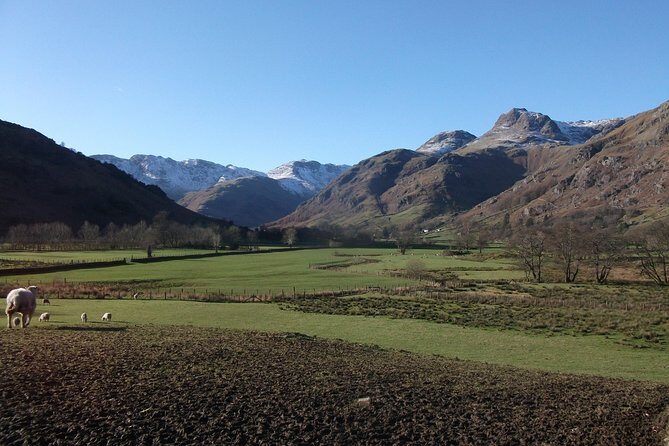 Lake District from Liverpool including Lake Cruise - Driver-guides and timing: why this tour feels smoother than you’d expect