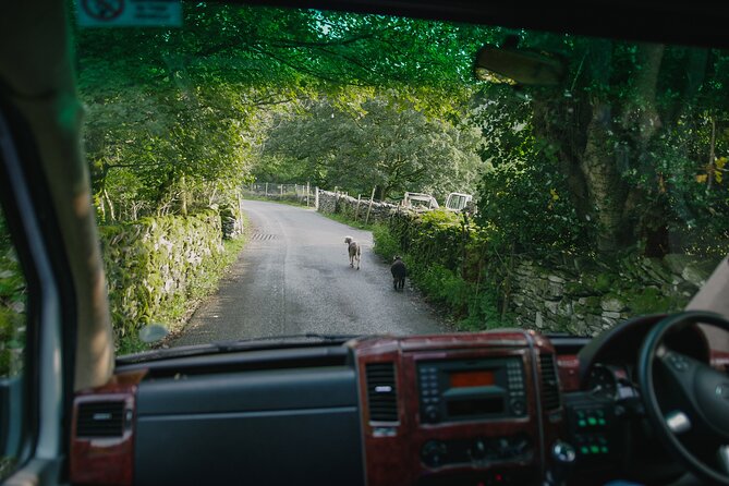 Lake District from Manchester Including Lake Cruise - Timing and the Long Drive: What You Should Expect