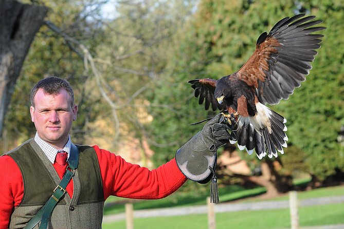 Leeds Castle Admission - Ultimate Explorer Tickets - Gardens, ponds, maze, and the underground grotto route
