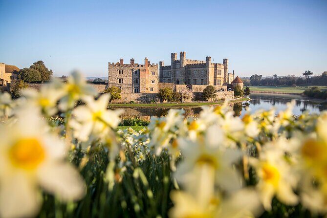 Leeds Castle and Canterbury - Day Tour from Brighton - Leeds Castle: gardens, maze time, and the raptor area