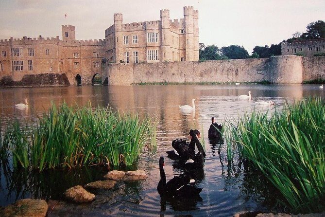 Leeds Castle, Canterbury and White Cliffs of Dover - Driver Guide - Who this tour fits best (and who might want a different format)