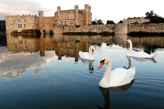 Leeds Castle, Canterbury, Dover & Greenwich Cruise from London - Dover’s White Cliffs: a quick hit with WWII context