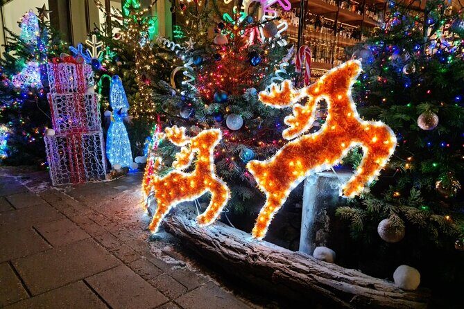 London Christmas Lights Bike Tour with Local Guide - Is this tour for you? Best matches and likely mismatches