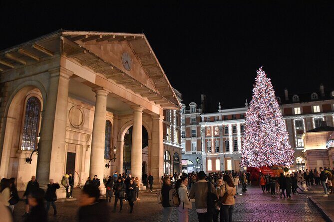 London Christmas Lights Private Walking Tour - Trafalgar Square’s Christmas Tree plus the battle story behind it