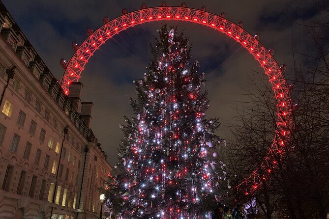 London Exclusive Christmas Lights Guided Tour by Black Cab - Selfridges: why department-store windows are worth a dedicated stop