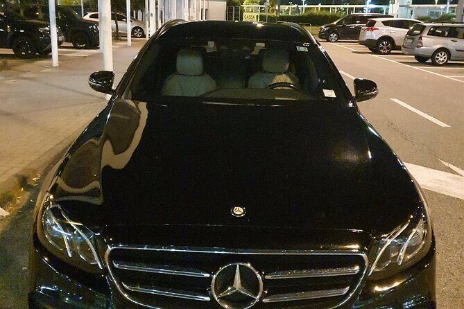 London Heathrow Airport (LHR) to Southampton Port - Arrival Private Transfer - Arriving at Southampton Port or Your Hotel: Drop-Off That Starts Your Cruise Correctly